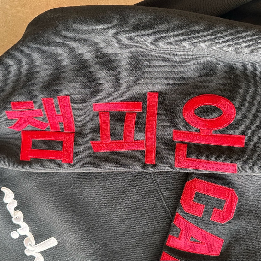 Men’s Medium Oversized pullover hoodie Champion Campeón